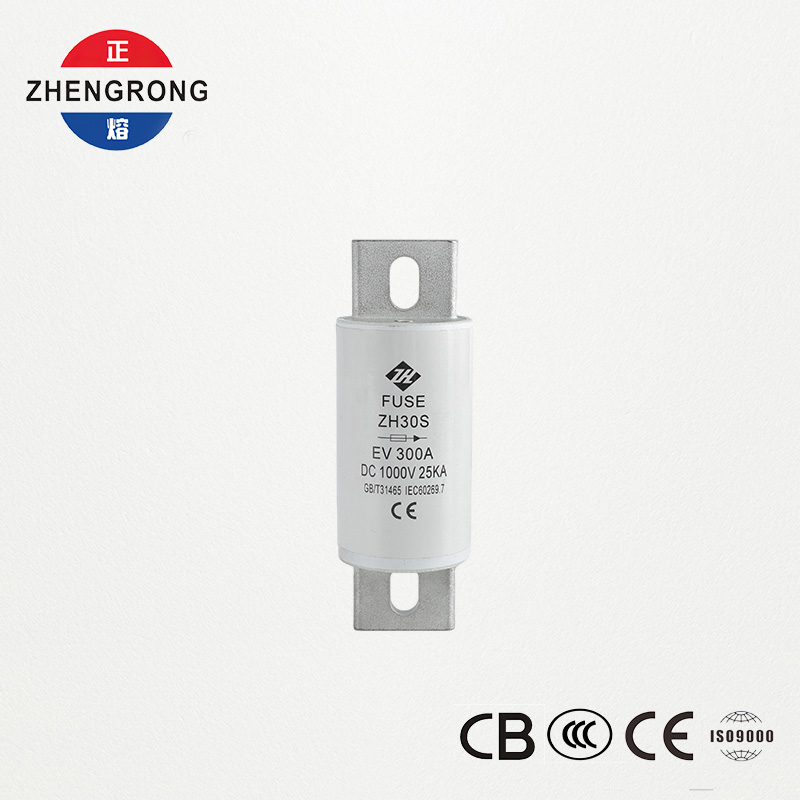 EV DC 퓨즈 300A 1000V (ZH30S)