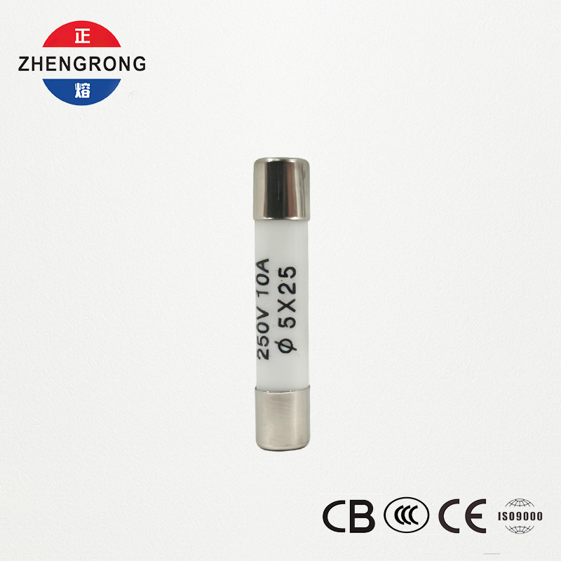 도매 구매자를 위한 고품질 5x25mm R055 10A 퓨즈
