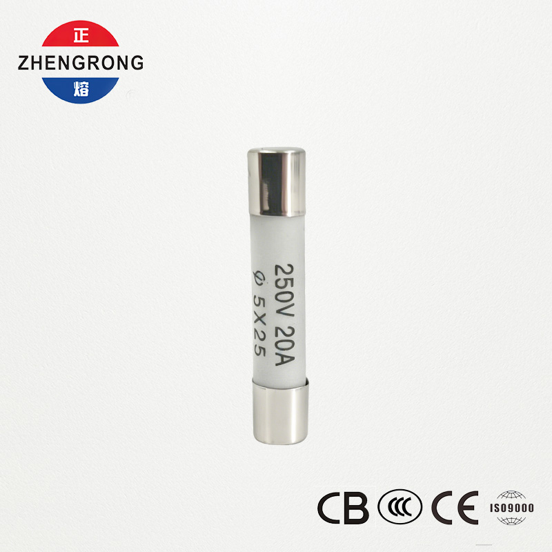 도매 구매자를 위한 고품질 5x25mm R055 20A 퓨즈