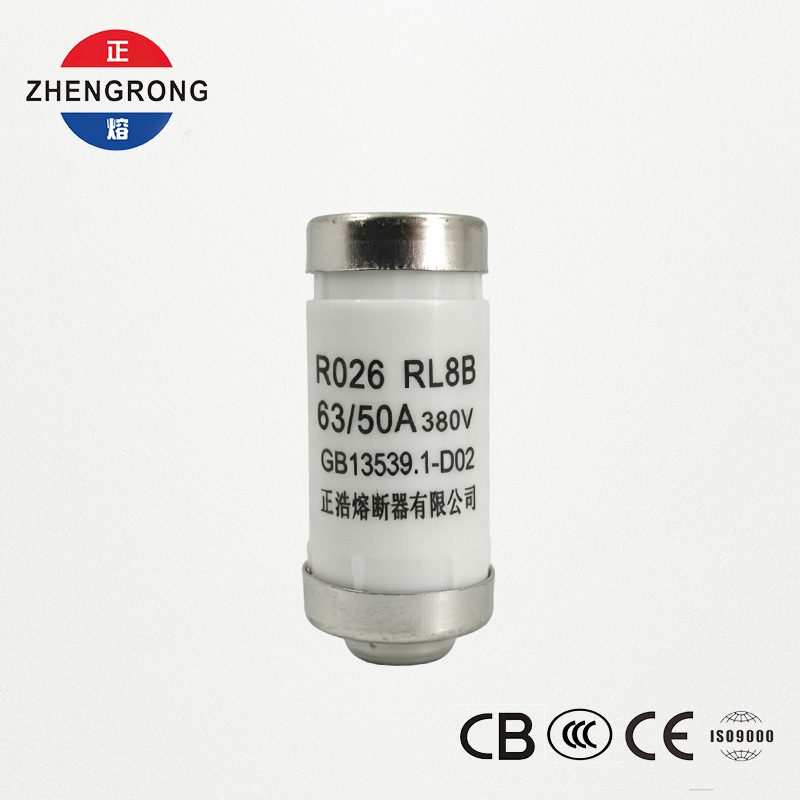 R026 RL8B 63A 380V D02 산업용 퓨즈 링크