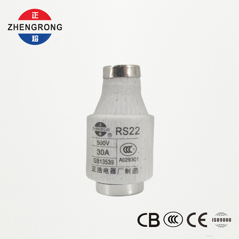 RS22 30A 500V 고속 작동 나사형 퓨즈 | 반도체 보호